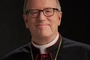 bp. Robert Barron