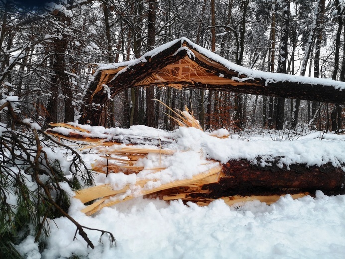 Ile waży śnieg?