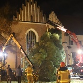 Kraków. 17. Choinka pod Oknem Papieskim