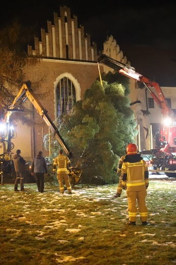 Kraków. 17. Choinka pod Oknem Papieskim