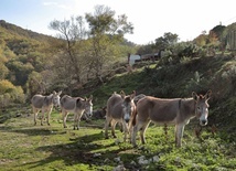 Mentorella miejsce do którego uciekał Jan Paweł II