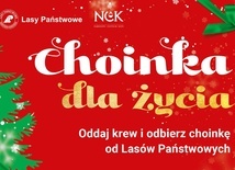 Oddaj krew i odbierz choinkę