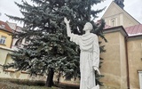Figura św. Franciszka przed kościołem bernardynów w Tarnowie.