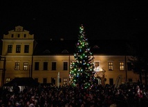 Kraków: Przed oknem papieskim rozbłysła 14-metrowa choinka