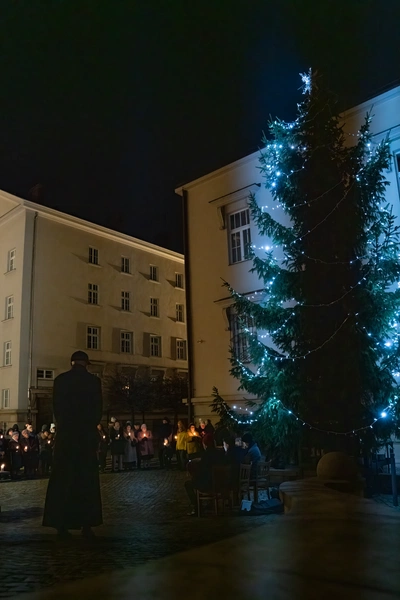 Rozświetlenie choinki przed katowicką kurią