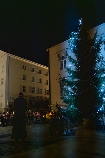 Rozświetlenie choinki przed katowicką kurią