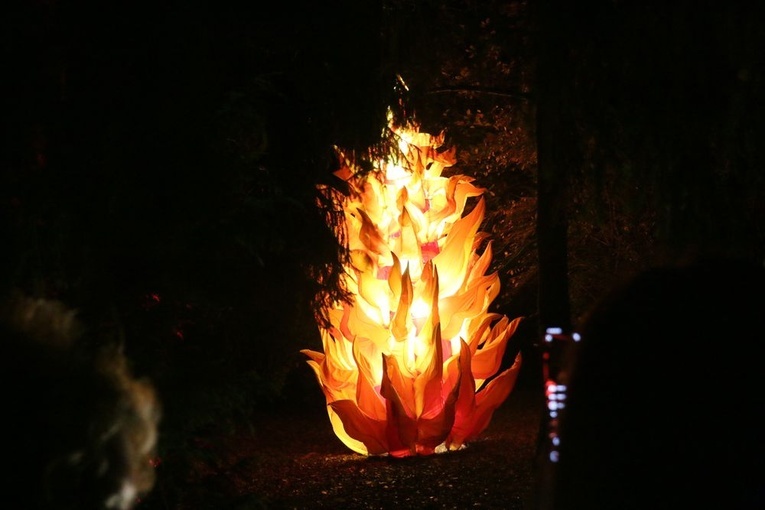 Lumina park opowiada o historii światła