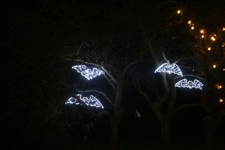Lumina park w Lublinie.