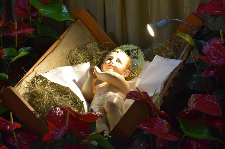 Żłóbek z Dzieciątkiem Jezus w kościele ojców bernardynów w Radomiu.