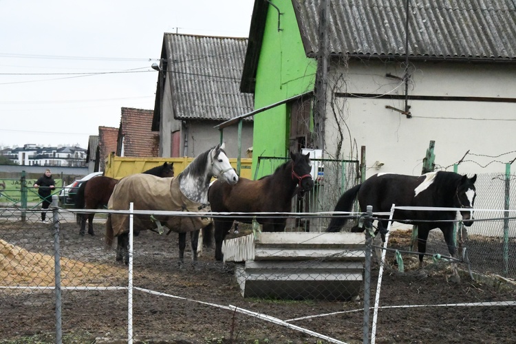 Orszak na Białołęce