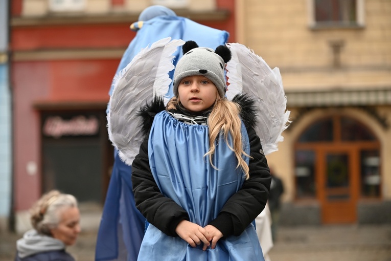 Orszak Trzech Króli 2023 w Świdnicy. Tradycyjnie z osiołkami