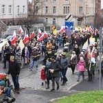 Orszak Trzech Króli 2023 w Świdnicy. Tradycyjnie z osiołkami