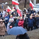 Orszak Trzech Króli 2023 w Świdnicy. Tradycyjnie z osiołkami