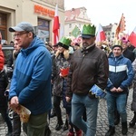 Orszak Trzech Króli 2023 w Świdnicy. Tradycyjnie z osiołkami