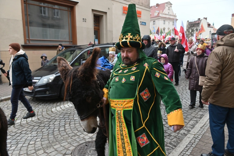 Orszak Trzech Króli 2023 w Świdnicy. Tradycyjnie z osiołkami