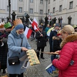 Orszak Trzech Króli 2023 w Świdnicy. Tradycyjnie z osiołkami