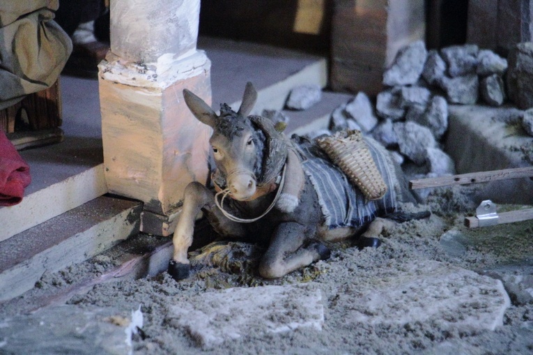 Szopka w kalwaryjskim sanktuarium 2022/2023