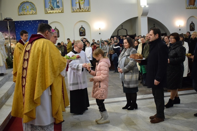 Diecezjalny opłatek rodzin w Stalowej Woli