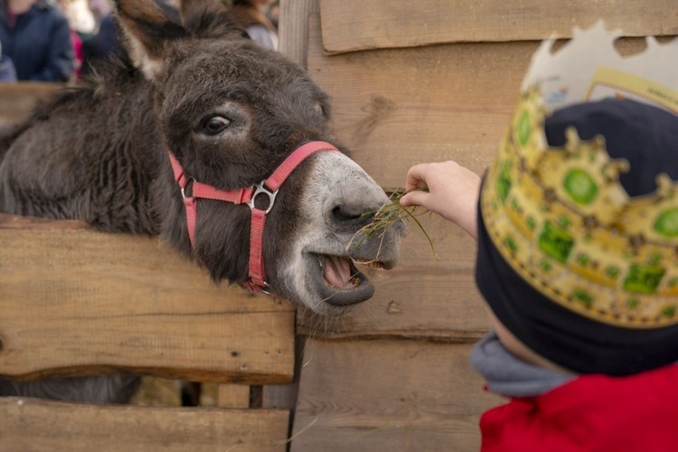 Jazowsko. Orszak 2023