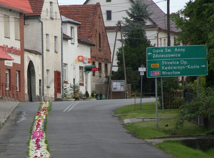 Tradycja kwietnych dywanów na Boże Ciało w Kluczu, Olszowej, Zalesiu Śląskim i Zimnej Wódce