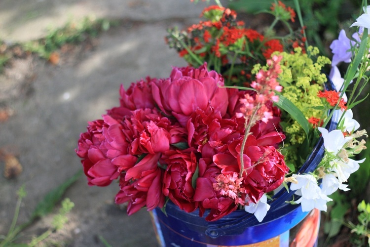 Tradycja kwietnych dywanów na Boże Ciało w Kluczu, Olszowej, Zalesiu Śląskim i Zimnej Wódce