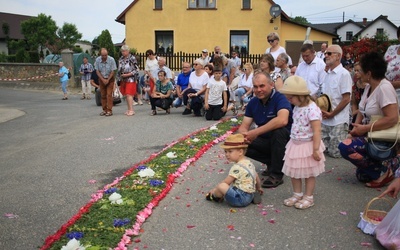 Tradycja kwietnych dywanów na Boże Ciało w Kluczu, Olszowej, Zalesiu Śląskim i Zimnej Wódce