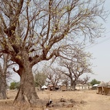 Ewangelizacyjna misja w Ghanie 