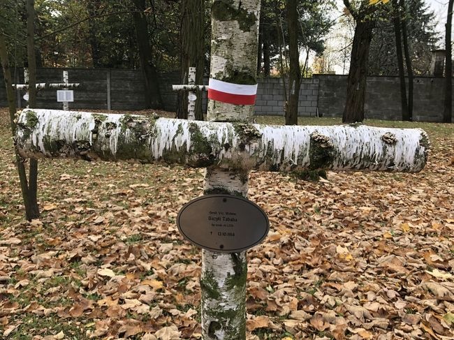 Mogiła żołnierza na cmentarzu wojennym w Stalowej Woli-Rozwadowie.