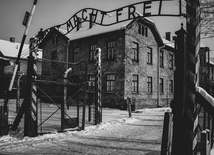 80 lat temu Niemcy rozstrzelali w Auschwitz 53 Polaków