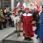 Osiołki na świątecznych spotkania w Świdnicy