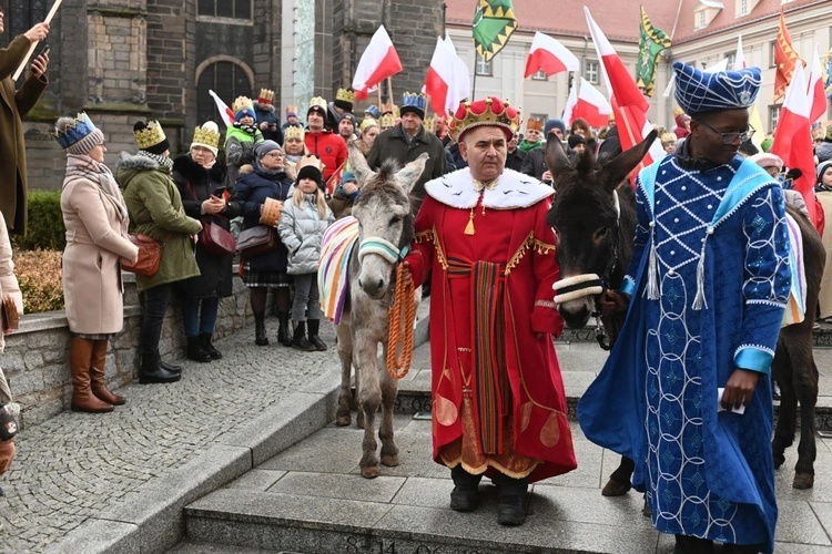 Osiołki na świątecznych spotkania w Świdnicy