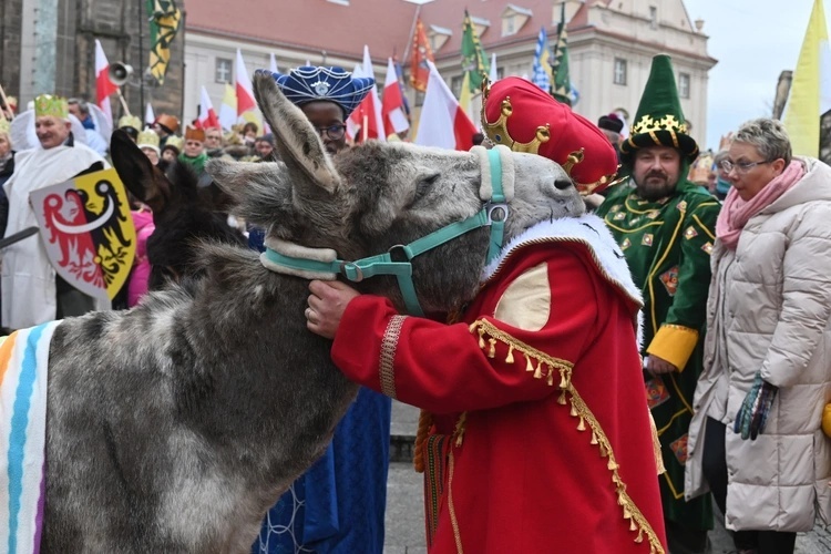 Osiołki na świątecznych spotkania w Świdnicy