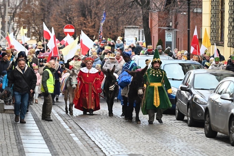 Osiołki na świątecznych spotkania w Świdnicy