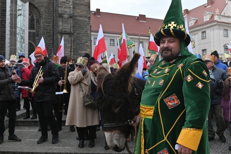 Osiołki na świątecznych spotkania w Świdnicy