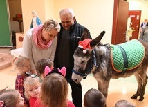 Osiołki na świątecznych spotkania w Świdnicy