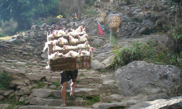 Trzeba sobie radzić