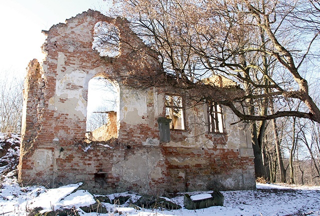 Ruiny dworu Boguszów. Symboliczny obraz owoców rabacji.