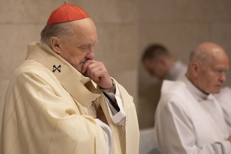 Seminarium Redemptoris Mater