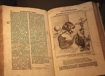 Tak – według obrazu zamieszczonego w wydanej w 1587 r. książce pt. „Icones sive imagines virtorum Literis Illustrium”, której autorem był Nicolaus Reusner – wyglądał naukowiec.