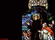 Święty Antoni, zmartwiony, że ludzie nie chcą go słuchać, zaczął kiedyś głosić kazanie do ryb. Wiele ryb podpłynęło. Zaskoczeni tym ludzie, skruszeni przyszli do Antoniego. Witraż z kościoła św. Jerzego w Hermann (Missouri, USA).