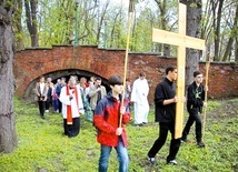 Nabożeństwo w parku dzikowskim przez lata prowadził nieżyjący już ks. Michał Józefczyk.