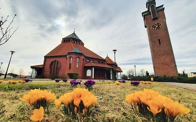 W pobliżu od wczesnej wiosny kwitną kwiaty.