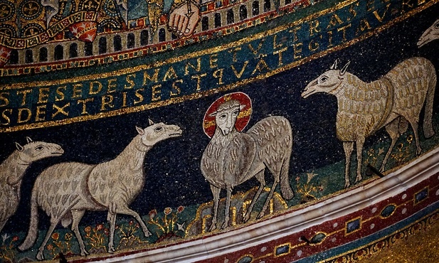 Przemień naszą kruchość