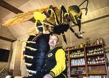 ▲	Dwumetrowy model owada został wykonany w rzeszowskim Teatrze Maska.