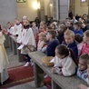Niedziela seminaryjna w diecezji radomskiej