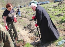 	Ks. Jan Sosnowski zasadził kilka buków.