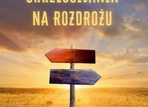 Ks. Robert Skrzypczak
CHRZEŚCIJANIN NA ROZDROŻU
Esprit 
Kraków 2023
ss. 300