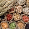 Ziarna zbóż to nie tylko owies, pszenica,  żyto czy jęczmień, ale i kukurydza,  ryż czy orkisz