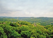 ▲	 60 proc. tutejszych terenów leśnych należy do prywatnych właścicieli.