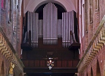 ▲	Organy katedralne to instrument wybudowany w latach 1911–1913  w Hali Stulecia. Były największe na świecie.